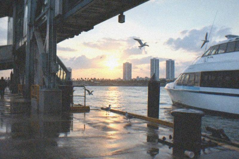 A high-speed ferry docked at a Fort Lauderdale terminal gangway, morning light, calm harbor water, no people, no logos, no readable text.