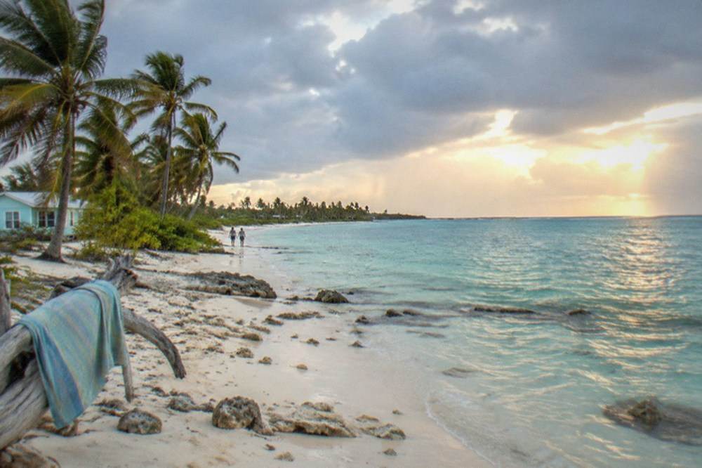 A quiet stretch of pale sand beach on Bimini with clear shallow water and a few palm trees.