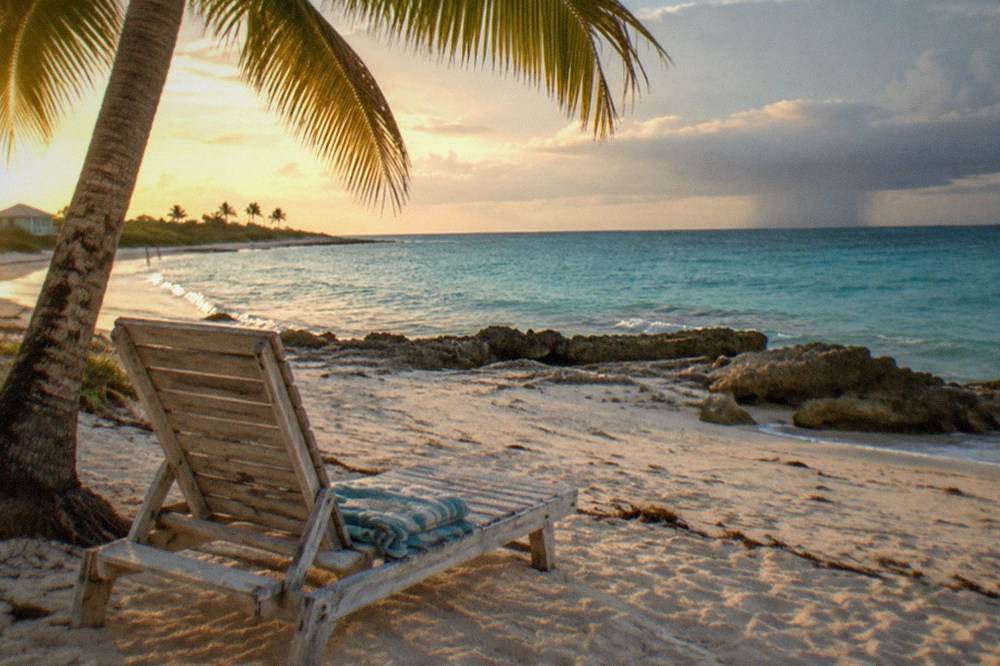 An empty beach chair under a palm tree on a wide quiet beach