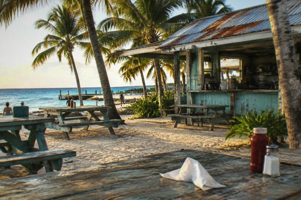 Beachside food shack with picnic tables under palm trees