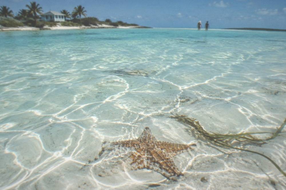 Clear shallow water over a sandbar near a small Bahamian island