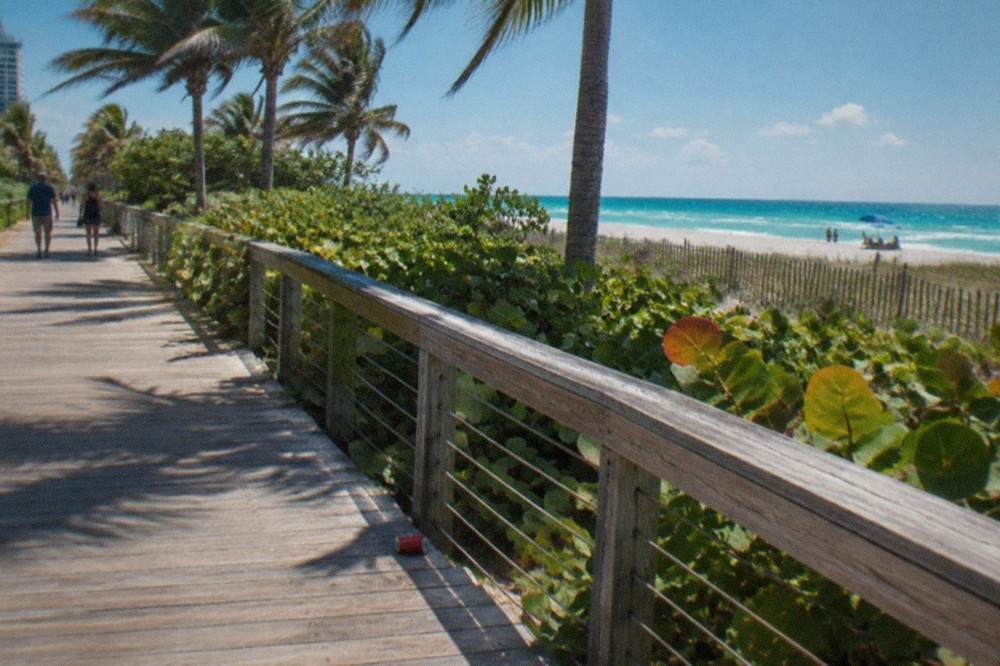 Oceanfront boardwalk with palm trees and turquoise water