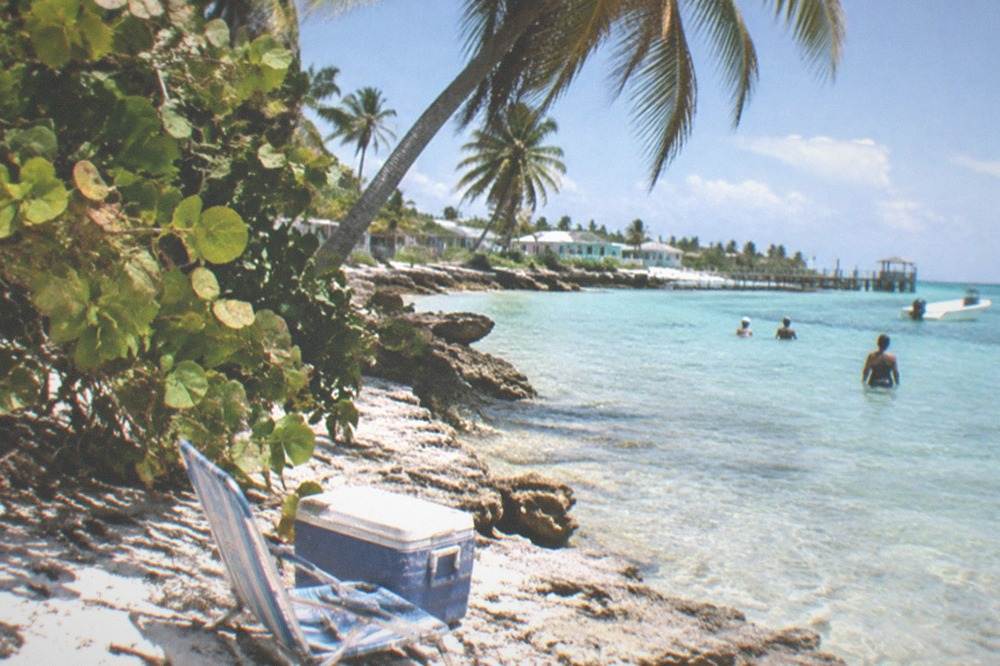 Palm trees and clear shallow water along a small island beach