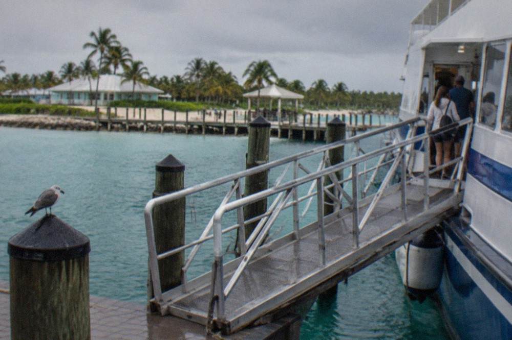 Passenger ferry docked at a port terminal with boarding walkway extended