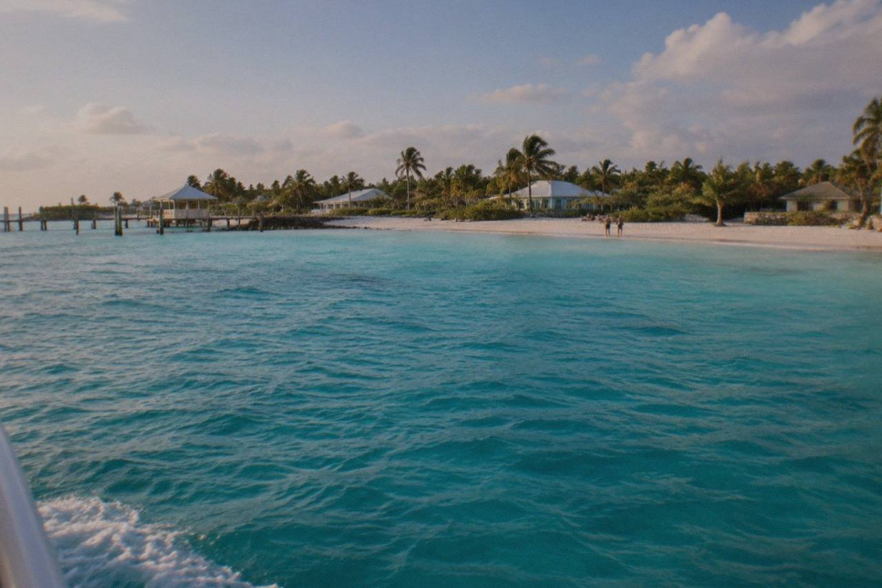 A ferry approaching Bimini's white sand shoreline where shallow turquoise water meets the beach, palm trees visible along the coast, no people, no logos, no readable text.